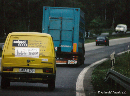 1996_Begleitfahrt-TTT-animal2000-c-Animals-Angels