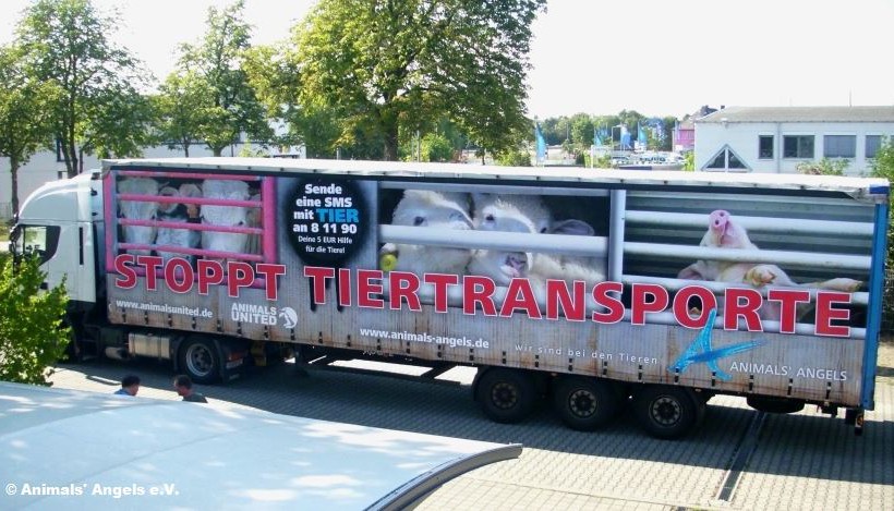 Tiere gehören nicht auf die Straße Tiere gehören nicht auf die Straße
