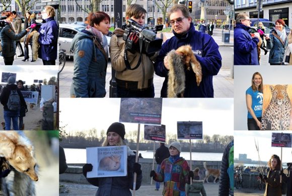WHAT A WEEK: Von TV-Bericht bis Anti-Pelz-Aktion WHAT A WEEK: Von TV-Bericht bis Anti-Pelz-Aktion