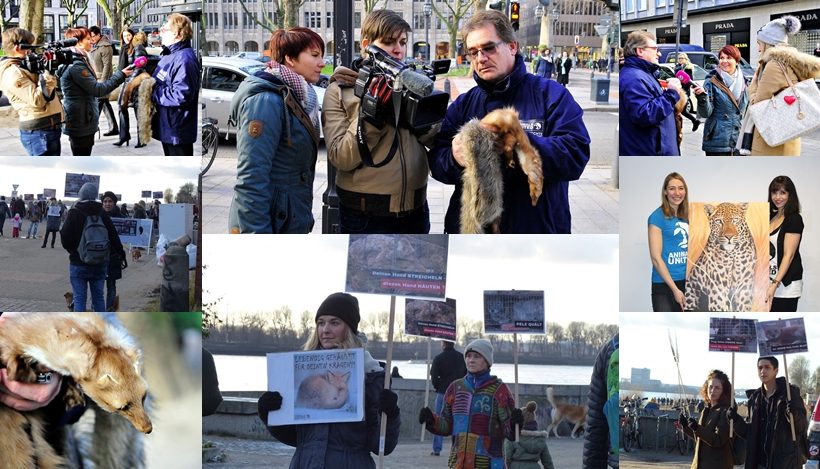 WHAT A WEEK: Von TV-Bericht bis Anti-Pelz-Aktion WHAT A WEEK: Von TV-Bericht bis Anti-Pelz-Aktion