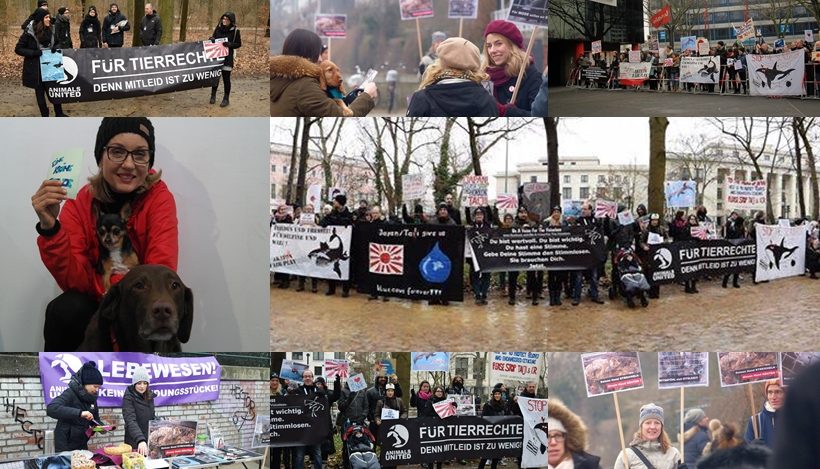 WHAT A WEEK: Von Protest gegen Delfinmassaker bis Promi-Spendenaktion WHAT A WEEK: Von Protest gegen Delfinmassaker bis Promi-Spendenaktion