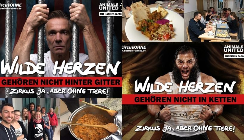 WHAT A WEEK: Von neuer Promi – Zirkuskampagne bis veganem Kochcoaching WHAT A WEEK: Von neuer Promi – Zirkuskampagne bis veganem Kochcoaching