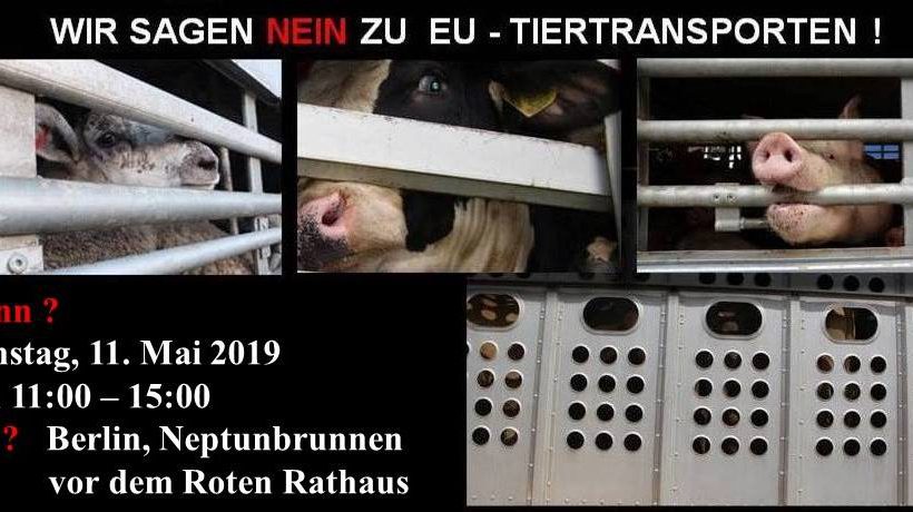 Protestkundgebung gegen EU Tiertransporte Protestkundgebung gegen EU Tiertransporte