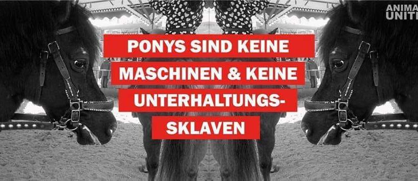 Aktionstag gegen Ponykarusselle Rosenheim Aktionstag gegen Ponykarusselle Rosenheim