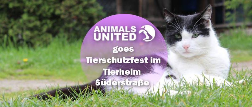 Animals United goes Tierschutzfest Hamburg Animals United goes Tierschutzfest Hamburg