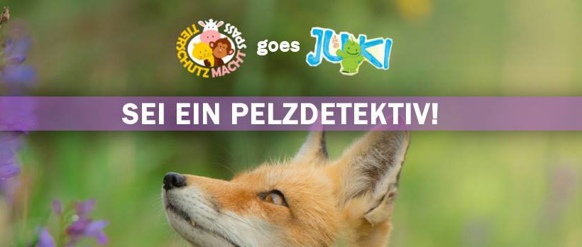 Sei ein Pelzdetektiv! Auf dem JUKI Festival Sei ein Pelzdetektiv! Auf dem JUKI Festival