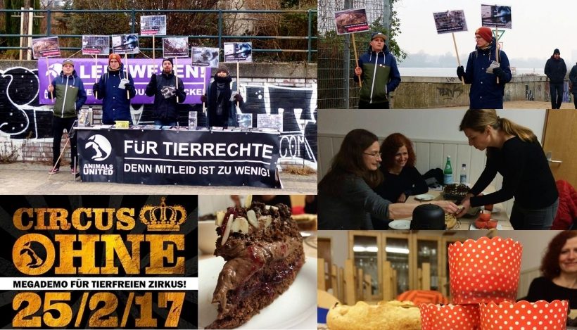 WHAT A WEEK: Von veganem Backkurs bis zu Anti-Pelz-Aktion WHAT A WEEK: Von veganem Backkurs bis zu Anti-Pelz-Aktion