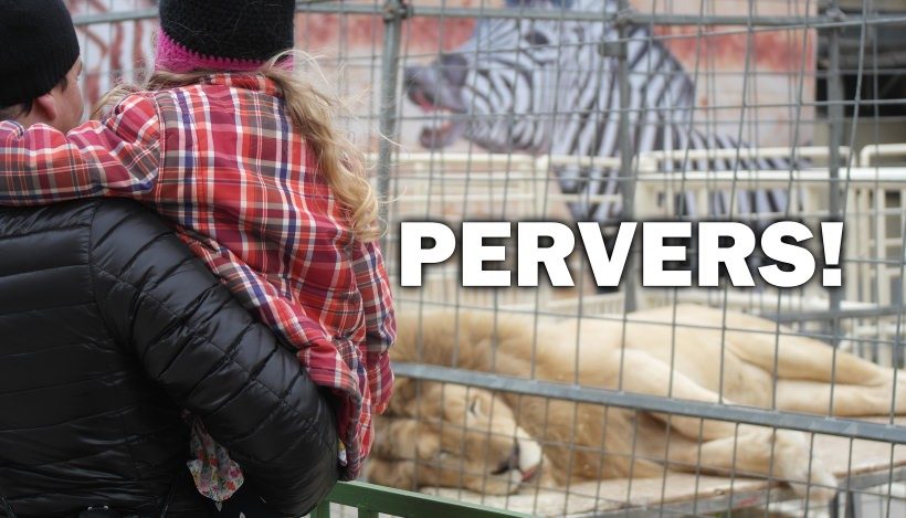 Pervers – vom Verhältnis zwischen Kindern und Tieren Pervers – vom Verhältnis zwischen Kindern und Tieren