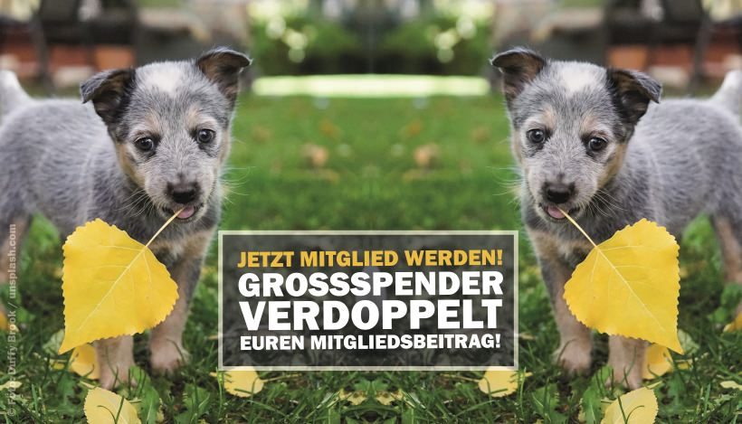 Jetzt Mitglied werden – Großspender verdoppelt euren Jahresbeitrag! Jetzt Mitglied werden – Großspender verdoppelt euren Jahresbeitrag!