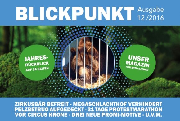 Unser Vereinsmagazin “Blickpunkt” 2016 ist raus! Unser Vereinsmagazin “Blickpunkt” 2016 ist raus!
