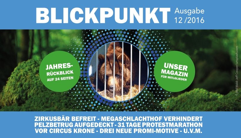 Unser Vereinsmagazin “Blickpunkt” 2016 ist raus! Unser Vereinsmagazin “Blickpunkt” 2016 ist raus!