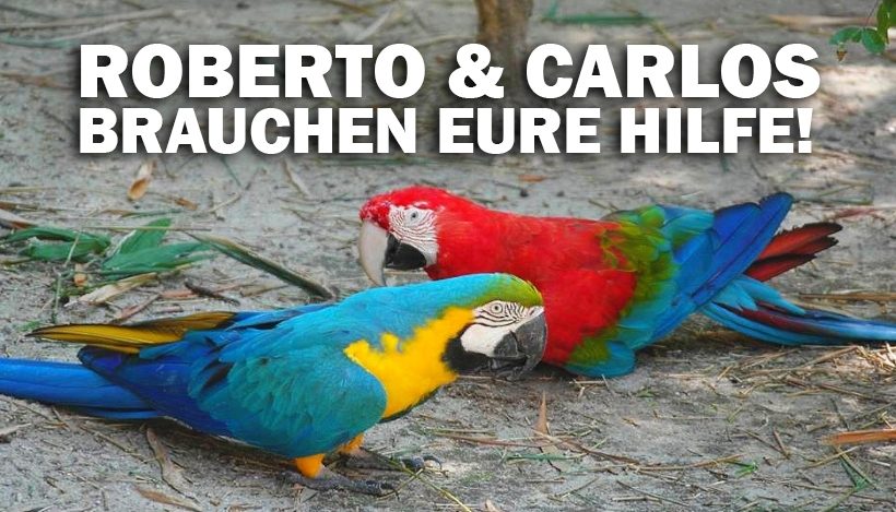 “Tal der Tiere”: Patenschaft für die Aras Roberto & Carlos “Tal der Tiere”: Patenschaft für die Aras Roberto & Carlos