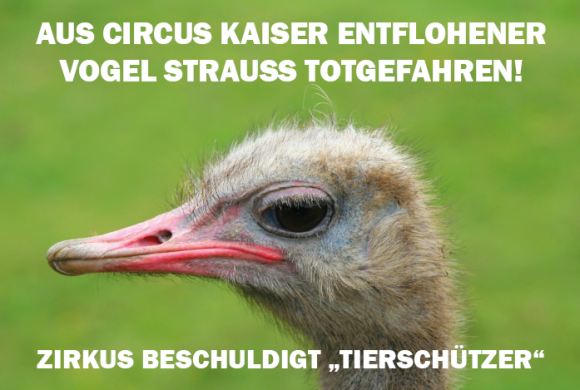 Des Circus Kaisers alte Leier: Tiere fliehen, “Tierschützer” sind schuld Des Circus Kaisers alte Leier: Tiere fliehen, “Tierschützer” sind schuld