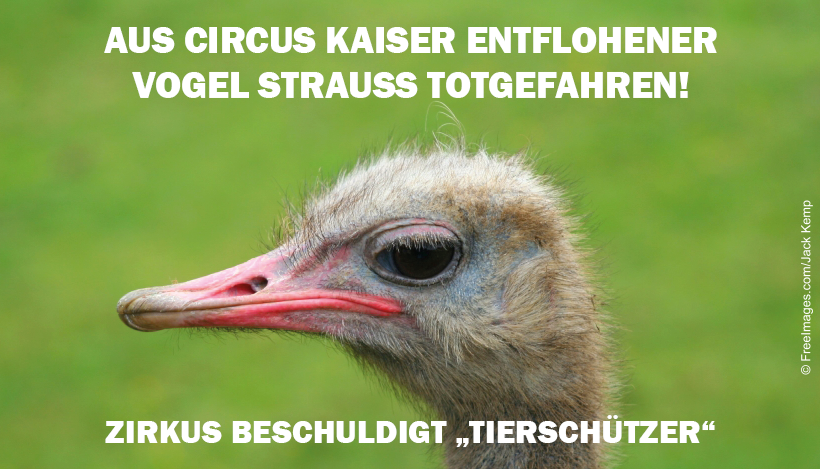 Des Circus Kaisers alte Leier: Tiere fliehen, “Tierschützer” sind schuld Des Circus Kaisers alte Leier: Tiere fliehen, “Tierschützer” sind schuld