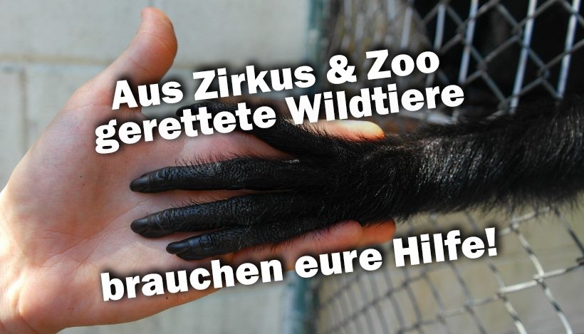 DRINGEND: Aus Zirkus & Zoo gerettete Wildtiere brauchen euch! DRINGEND: Aus Zirkus & Zoo gerettete Wildtiere brauchen euch!