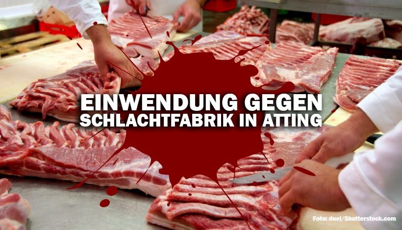 Geplante Schlachtfabrik in Atting – ohne mich! Geplante Schlachtfabrik in Atting – ohne mich!