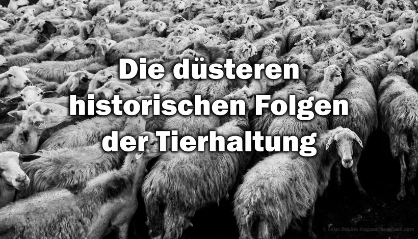 Kriege, Sklaverei und Diskriminierung als direkte Folge der Tierhaltung Kriege, Sklaverei und Diskriminierung als direkte Folge der Tierhaltung
