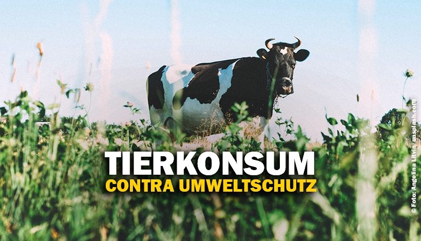 Umweltschutz und Tiere essen!? Das passt nicht! Umweltschutz und Tiere essen!? Das passt nicht!