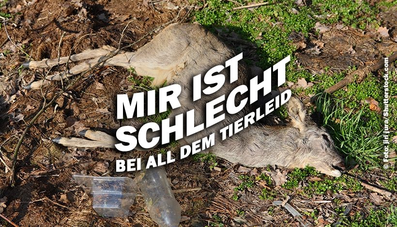 Mir ist schlecht, bei all dem Tierleid Mir ist schlecht, bei all dem Tierleid