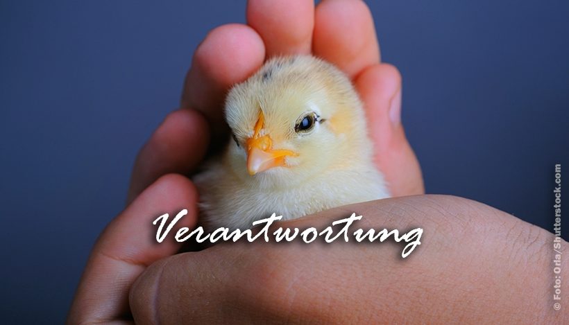 Die Macht und Last der Verantwortung Die Macht und Last der Verantwortung