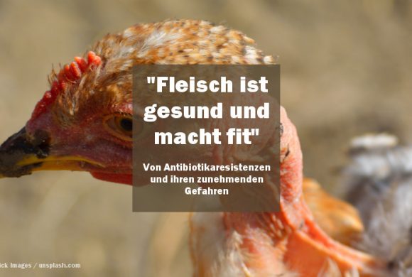 „Fleisch ist gesund und macht fit“ – von Antibiotikaresistenzen und ihren zunehmenden Gefahren „Fleisch ist gesund und macht fit“ – von Antibiotikaresistenzen und ihren zunehmenden Gefahren