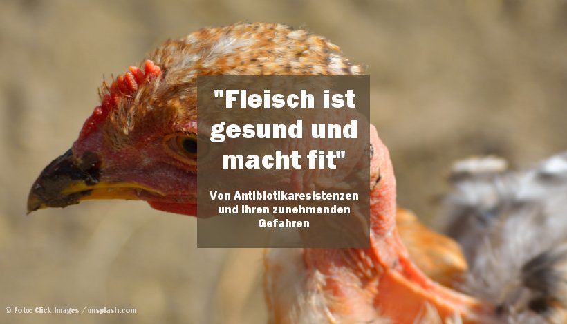 “Fleisch ist gesund und macht fit” – von Antibiotikaresistenzen und ihren zunehmenden Gefahren “Fleisch ist gesund und macht fit” – von Antibiotikaresistenzen und ihren zunehmenden Gefahren