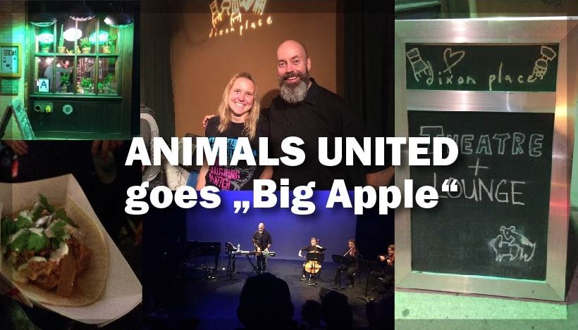 ANIMALS UNITED goes Big Apple: Wir sind alle eins! ANIMALS UNITED goes Big Apple: Wir sind alle eins!