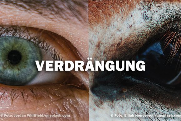 Aus den Augen, aus dem Sinn – Von der Kunst des Verdrängens Aus den Augen, aus dem Sinn – Von der Kunst des Verdrängens