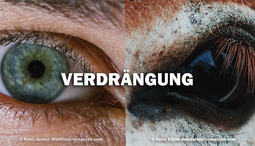 Aus den Augen, aus dem Sinn – Von der Kunst des Verdrängens Aus den Augen, aus dem Sinn – Von der Kunst des Verdrängens