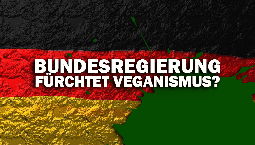 Bundesregierung enttäuscht mit einseitiger Bewertung veganer Ernährung Bundesregierung enttäuscht mit einseitiger Bewertung veganer Ernährung