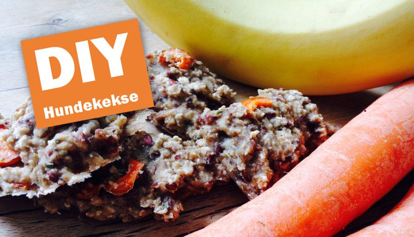 DIY: Hundekekse selber machen! DIY: Hundekekse selber machen!