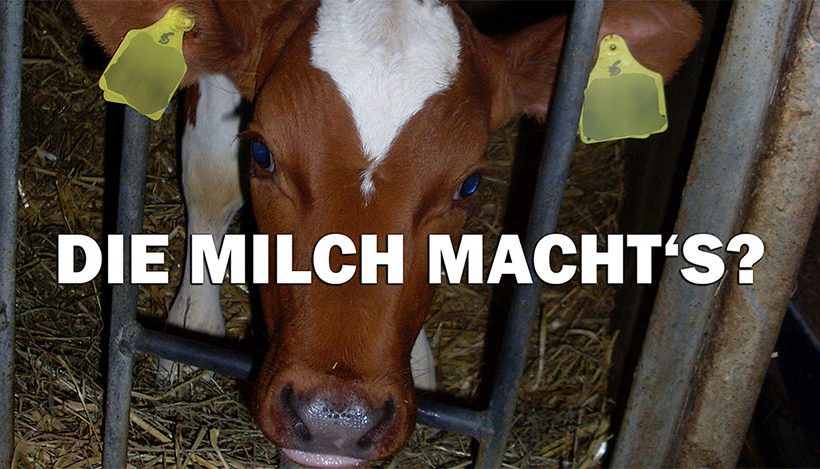 Die Milch macht’s? Von verwaisten Kälbchen & Werbelügen Die Milch macht’s? Von verwaisten Kälbchen & Werbelügen