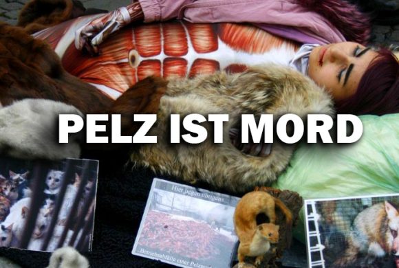 Pelze überall – warum tut ihr das? Pelze überall – warum tut ihr das?