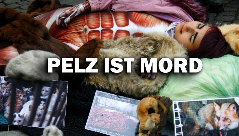 Pelze überall – warum tut ihr das? Pelze überall – warum tut ihr das?