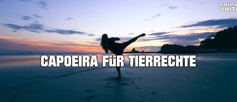 Capoeira für Tierrechte Capoeira für Tierrechte