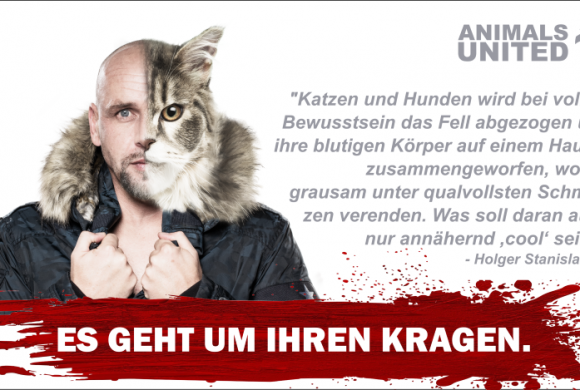 St. Pauli-Legende Holger “Stani” Stanislawski gegen Pelz St. Pauli-Legende Holger “Stani” Stanislawski gegen Pelz