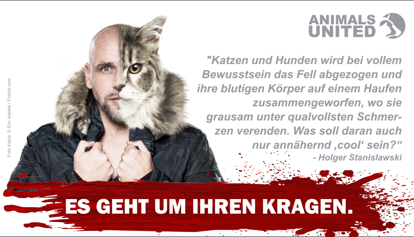 St. Pauli-Legende Holger “Stani” Stanislawski gegen Pelz St. Pauli-Legende Holger “Stani” Stanislawski gegen Pelz