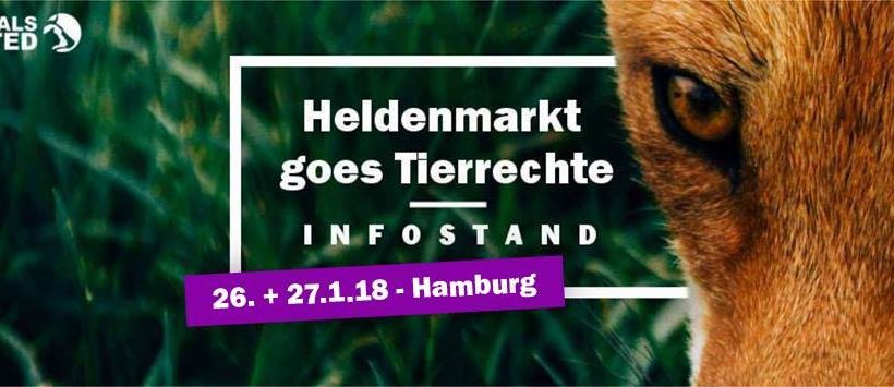 Infostand auf dem Heldenmarkt Infostand auf dem Heldenmarkt