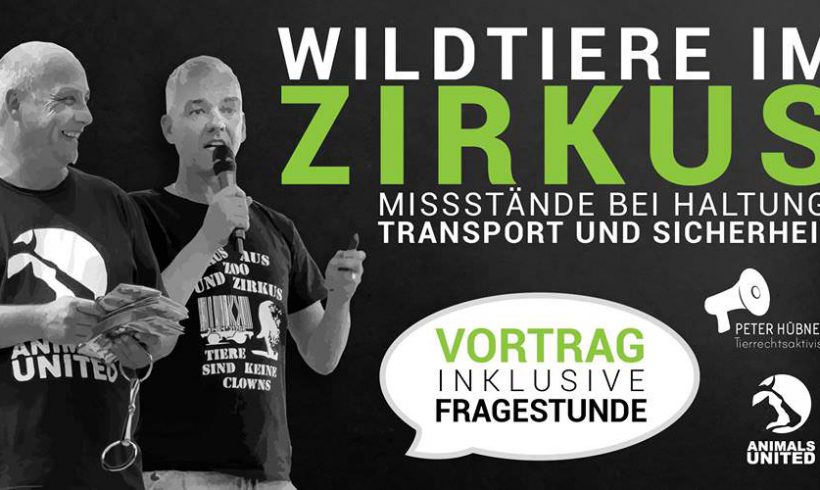 Wildtiere im Zirkus – Das stumme Leiden der Tiere Wildtiere im Zirkus – Das stumme Leiden der Tiere