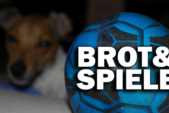 Warum ich meine Zeit lieber Tierrechten als der WM widme Warum ich meine Zeit lieber Tierrechten als der WM widme