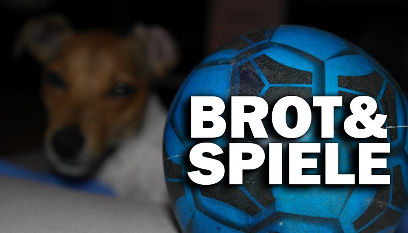 Warum ich meine Zeit lieber Tierrechten als der WM widme Warum ich meine Zeit lieber Tierrechten als der WM widme