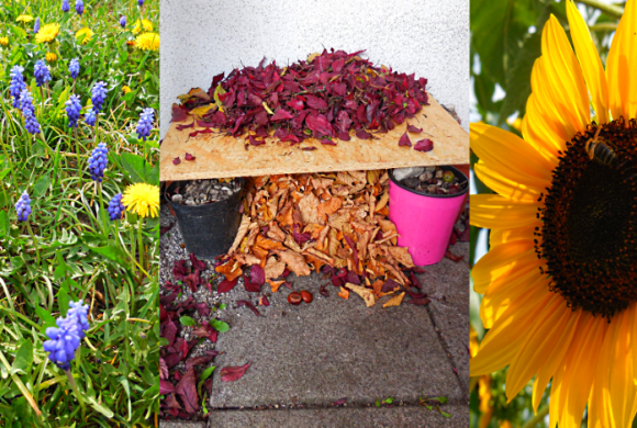Tierfreundliche Tipps für Garten & Balkon Tierfreundliche Tipps für Garten & Balkon