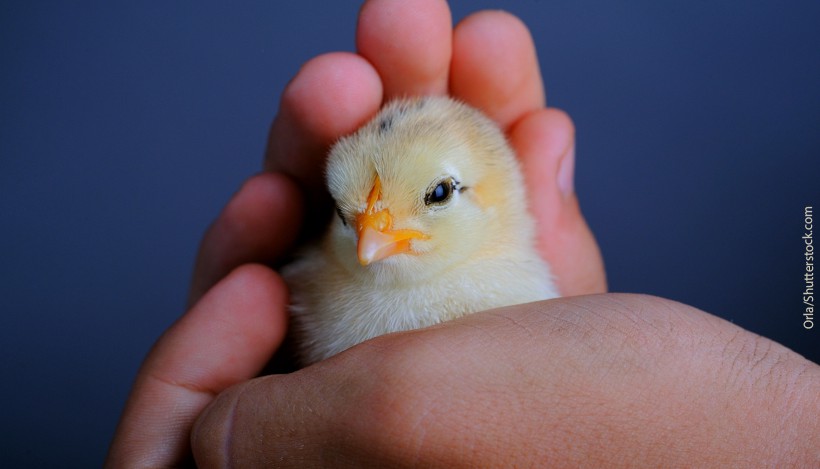 “Ihr seid ja alle solche Gutmenschen!” – ein Stigma “Ihr seid ja alle solche Gutmenschen!” – ein Stigma