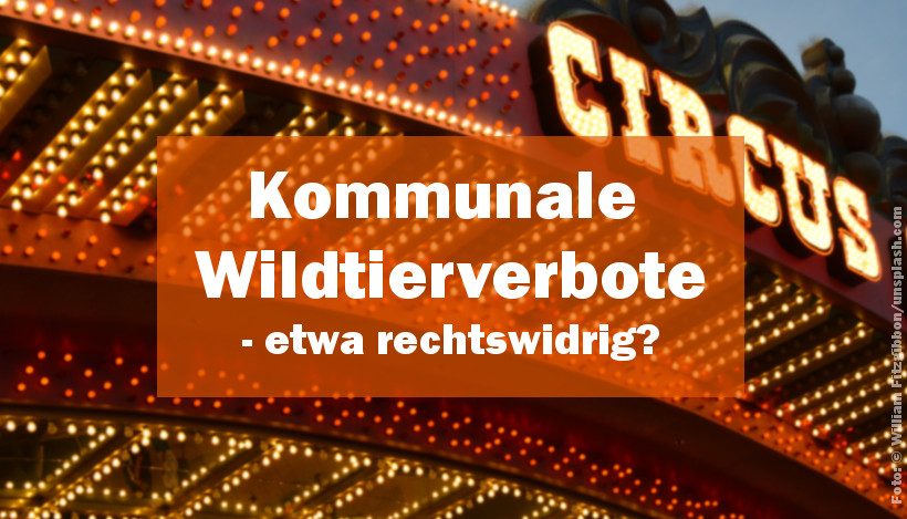 Kommunale Wildtierverbote – etwa rechtswidrig? Kommunale Wildtierverbote – etwa rechtswidrig?
