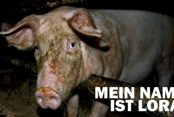 Für mich ist jeden Tag Mondfinsternis Für mich ist jeden Tag Mondfinsternis