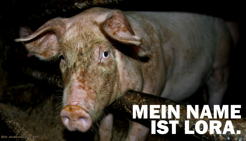 Für mich ist jeden Tag Mondfinsternis Für mich ist jeden Tag Mondfinsternis