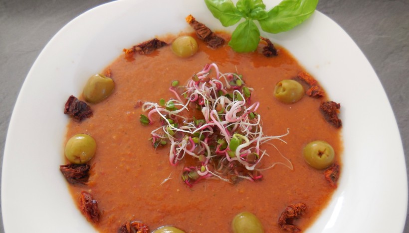 Tierleidfrei genießen: Rohe Gemüsesuppe Tierleidfrei genießen: Rohe Gemüsesuppe