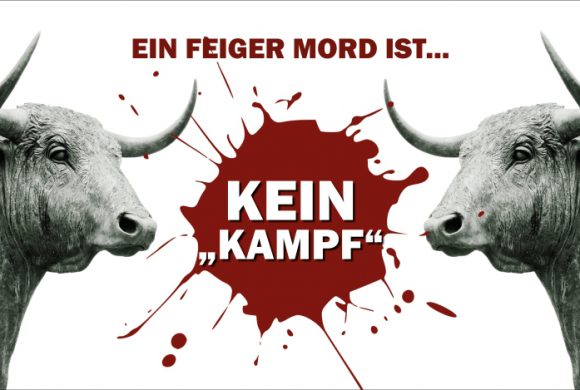 Stierkampf – ein fairer “Kampf”? Stierkampf – ein fairer “Kampf”?