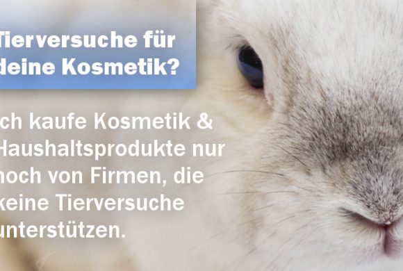 Keine Tierversuche für eure Kosmetik & Haushaltsprodukte! Keine Tierversuche für eure Kosmetik & Haushaltsprodukte!