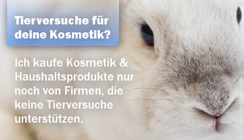 Keine Tierversuche für eure Kosmetik & Haushaltsprodukte! Keine Tierversuche für eure Kosmetik & Haushaltsprodukte!